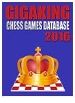 Chess Software