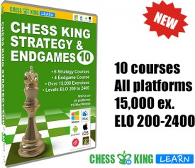 Chess King Strategy/Endgames 10